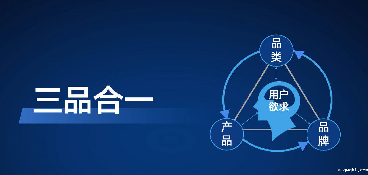 贾伟:中国所有创业者,一定要参与品类竞争