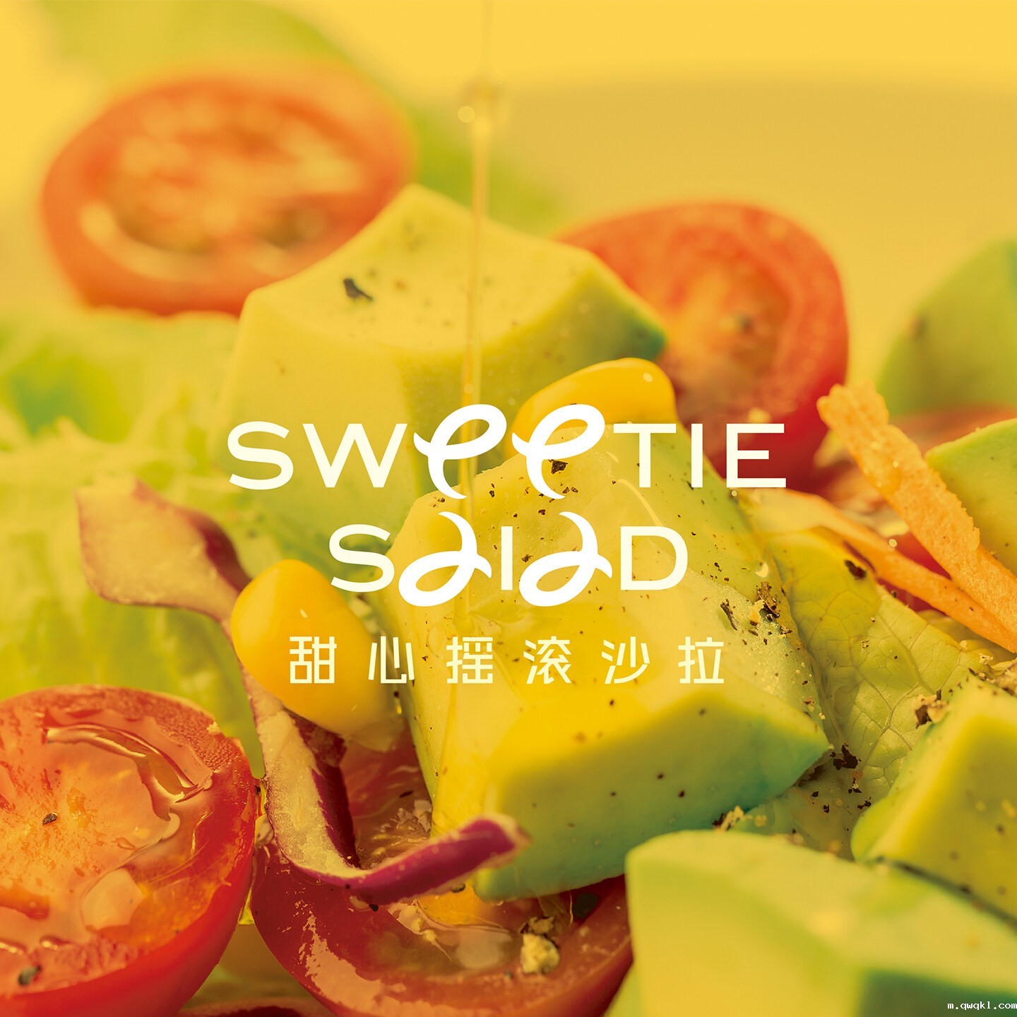 整合服务特种装备