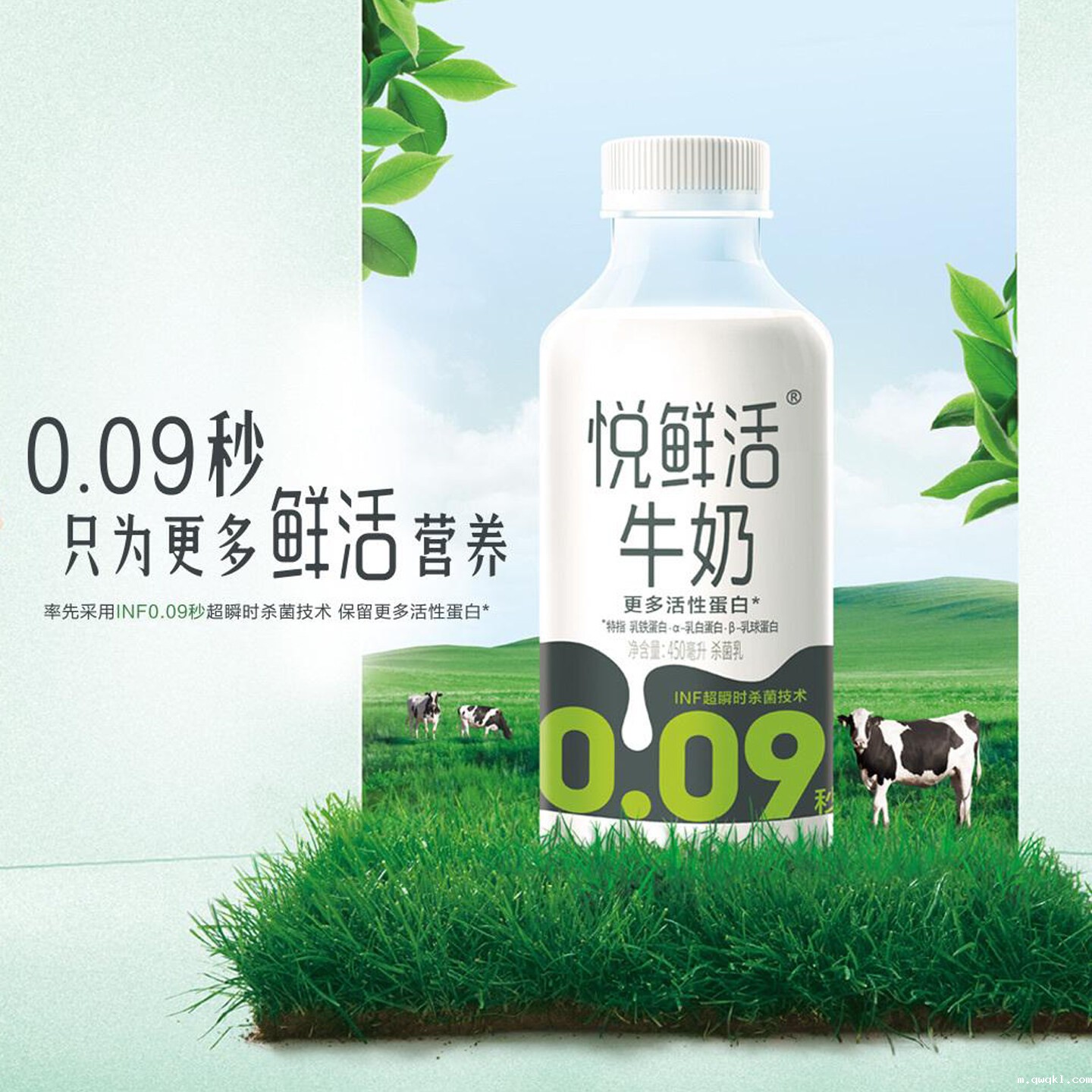 造型