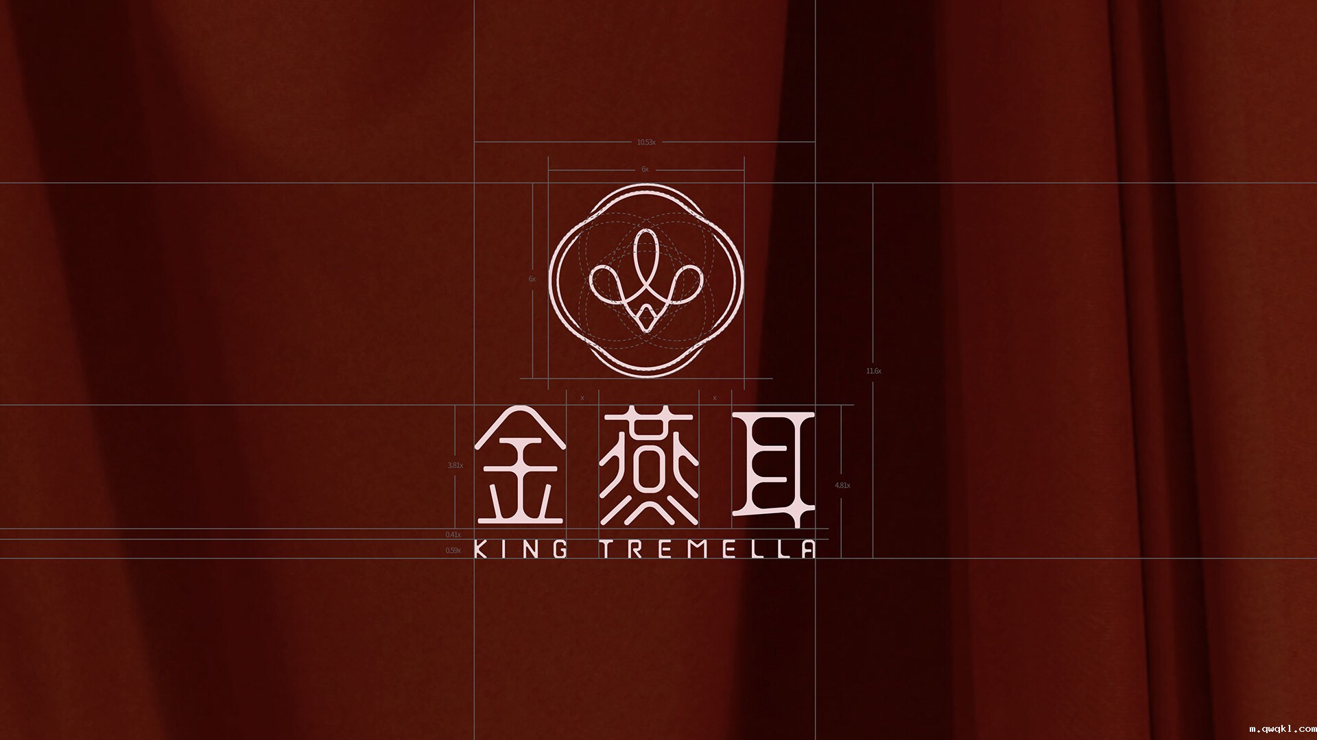 银耳品牌形象设计-金燕耳品牌形象设计