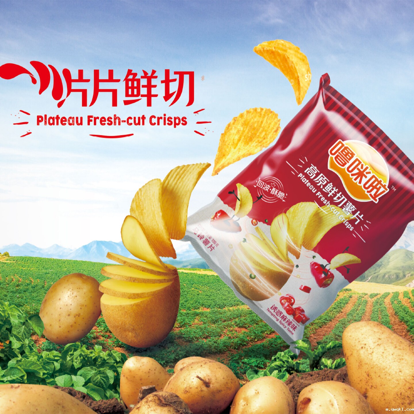 爆款打造食品酒饮