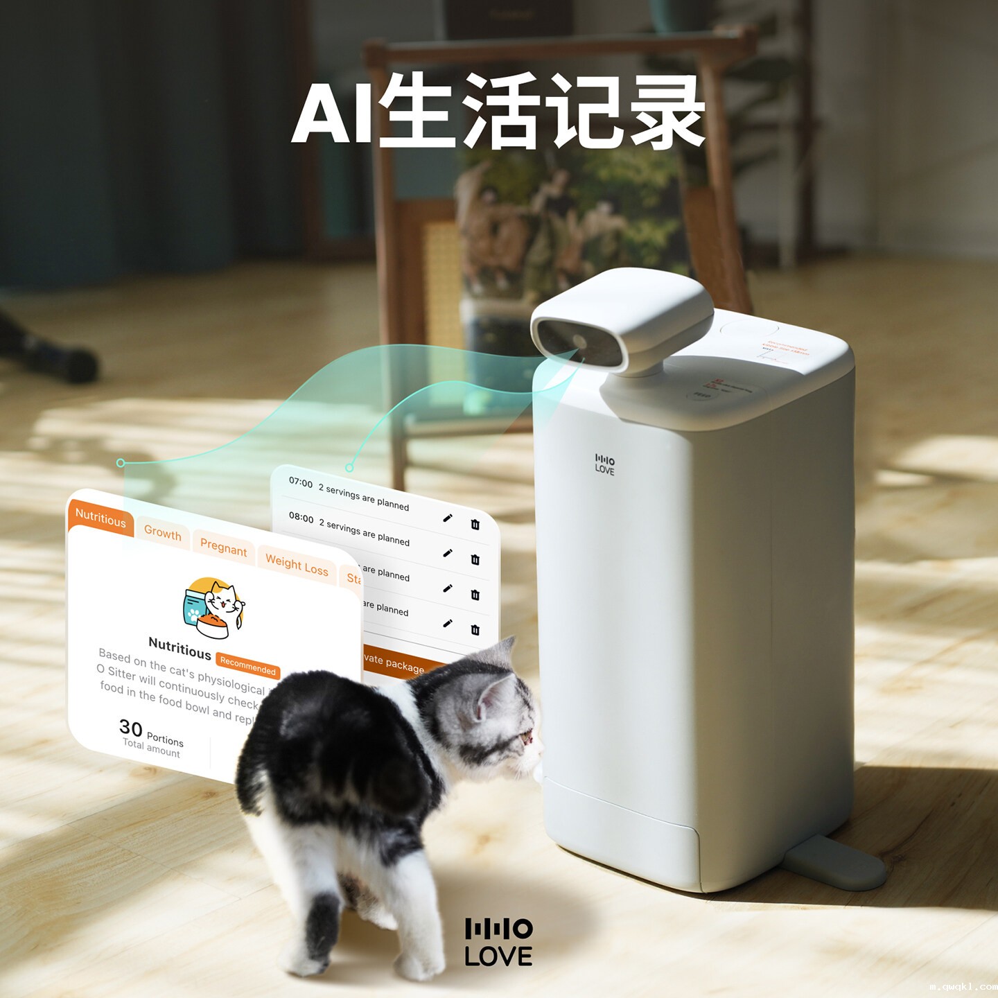 猫咪陪伴机器人设计-智能猫咪陪伴机器人设计